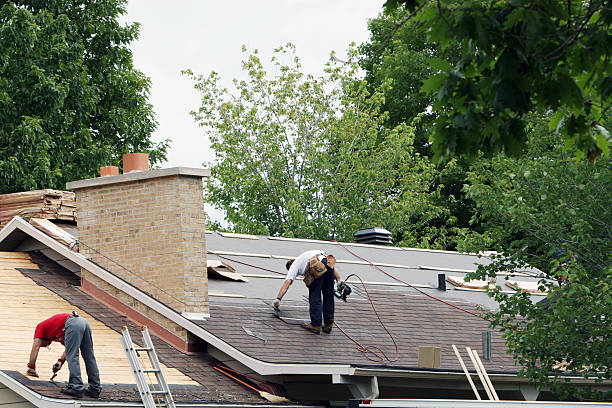 Best Flat Roof Repair Services  in West Branch, MI