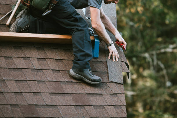 Best Roof Repair Services  in West Branch, MI